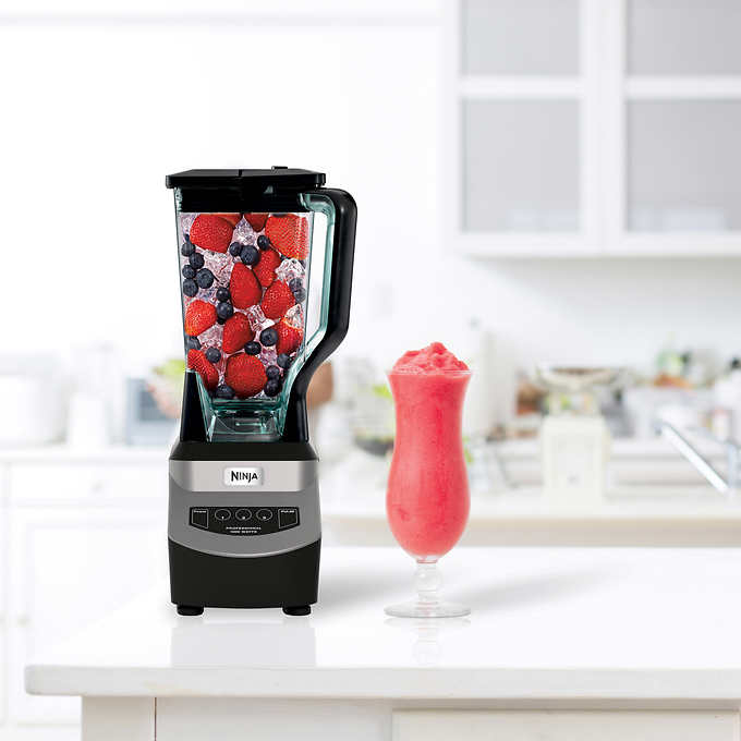 Ninja Professional 1000 Watt Blender