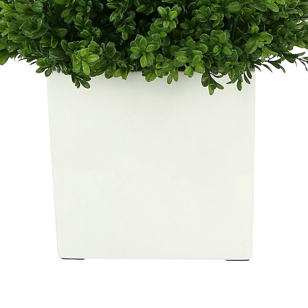 UV Rated Outdoor Boxwood in a Square Fiberstone Pot