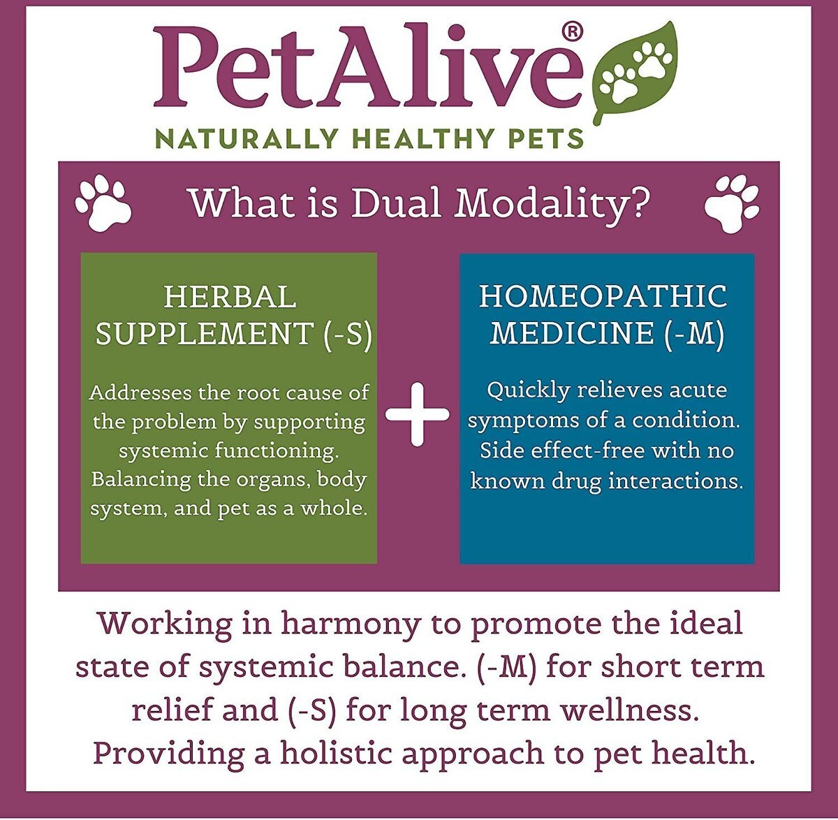 PetAlive EaseSure-M Homeopathic Medicine for Anxiety for Dogs and Cats