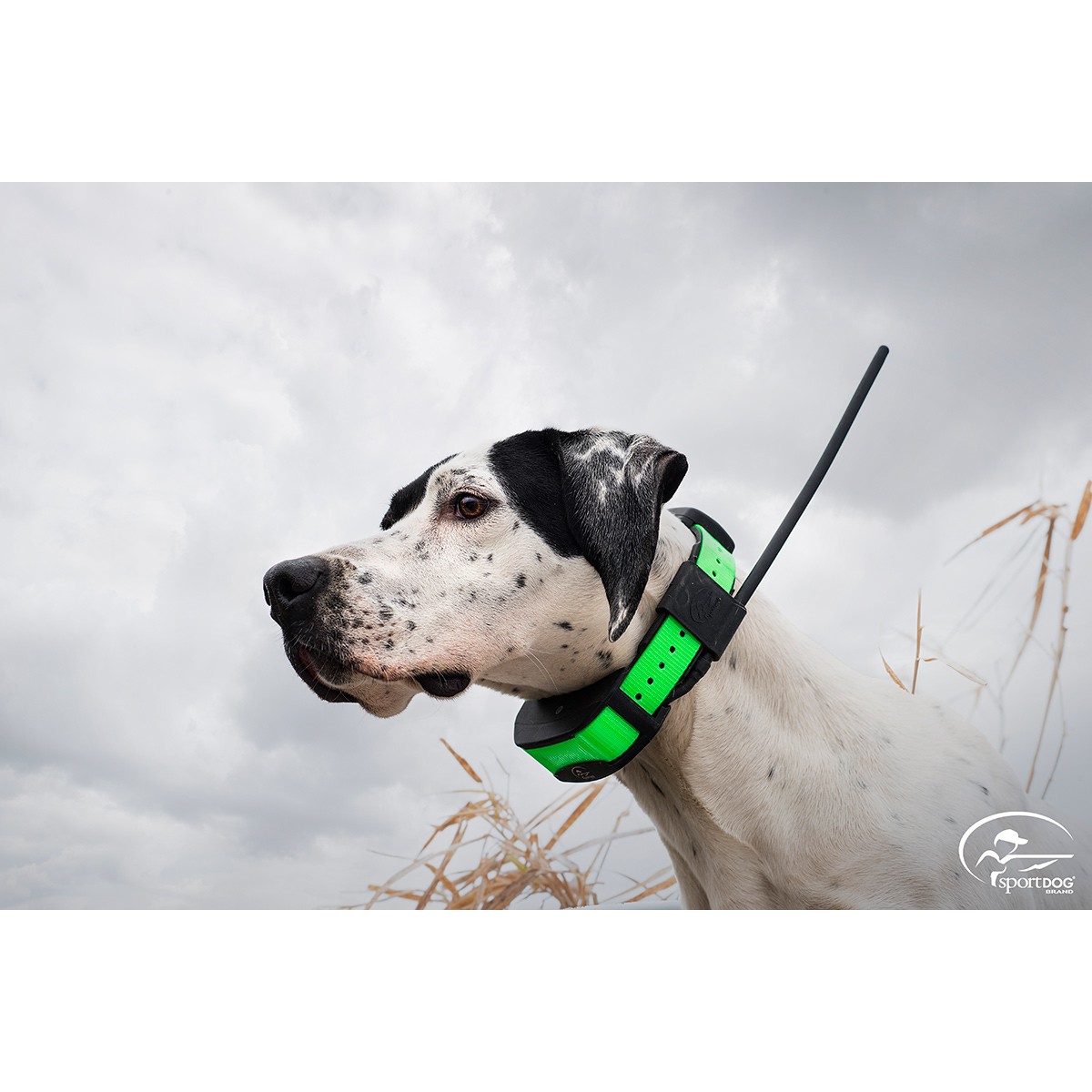 SportDOG TEK Series 1.5 GPS Tracking + E-Collar System - TEK-V1.5LT