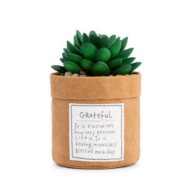 Demdaco Plant Kindness Grateful Green