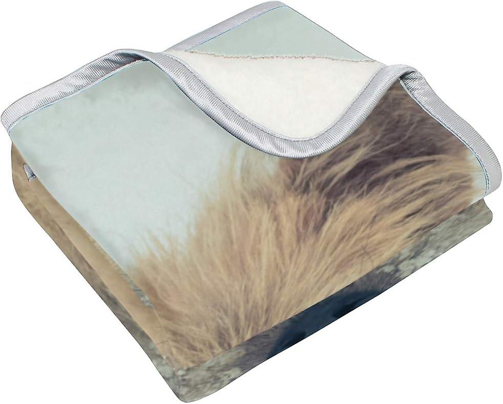 Velvet Plush Throw Thermal Blanket 5 X 7.5 Ft Dog Stained His Nose Flannel Fleece Blanket For Men Women Couch Bed Sofa Car