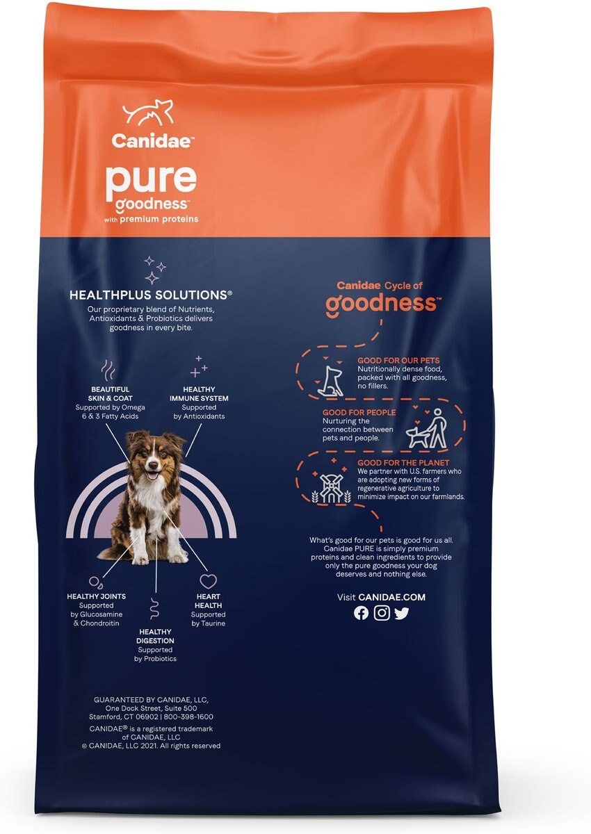 CANIDAE PURE with Wholesome Grains Real Beef and Barley Recipe Adult Dry Dog Food