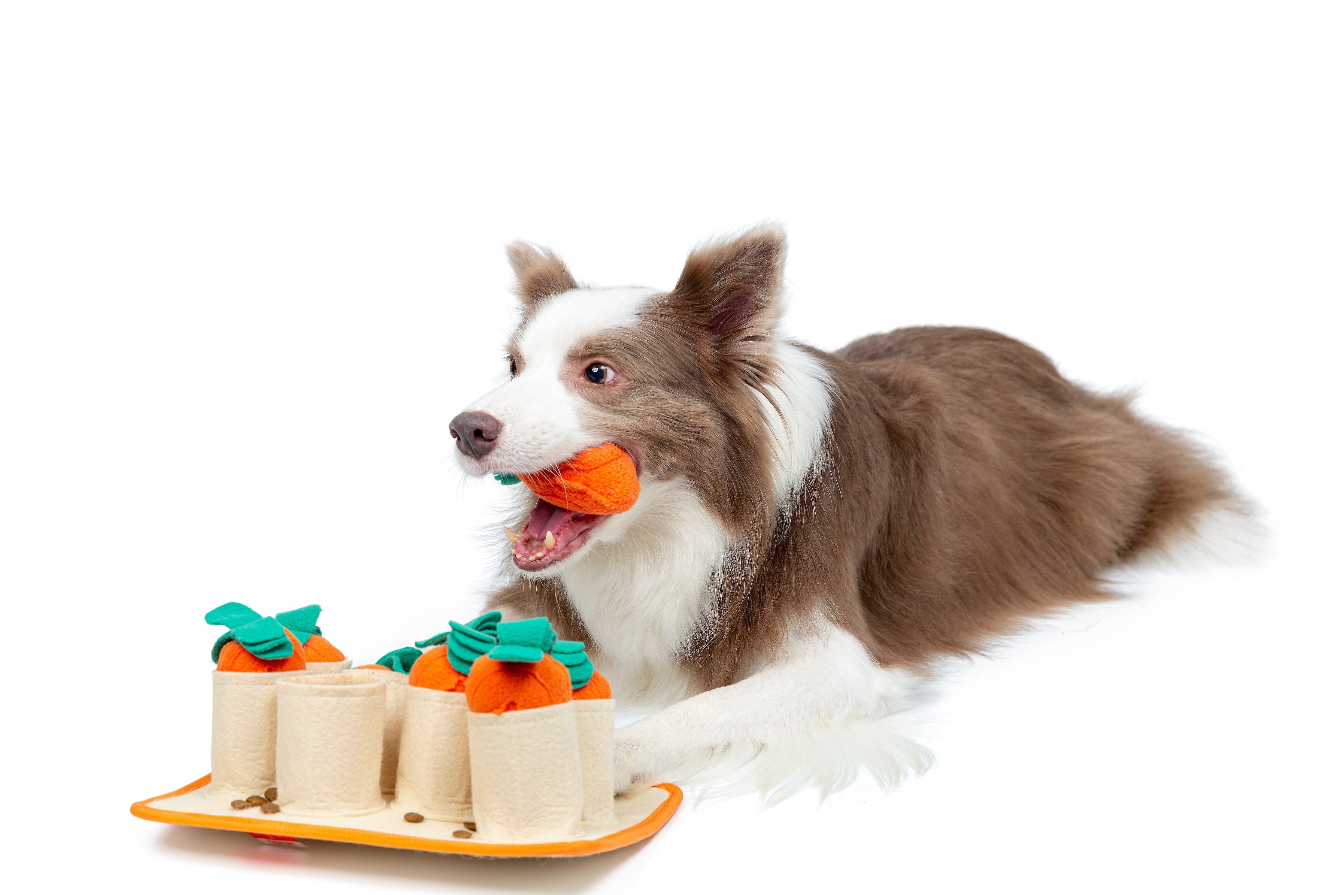 Carrot pet dog snuffle mat