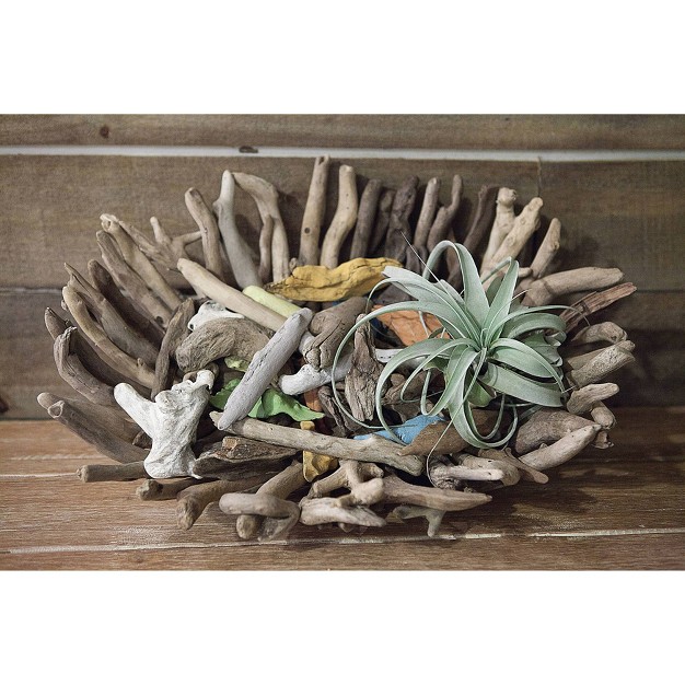 Driftwood Tray Storied Home