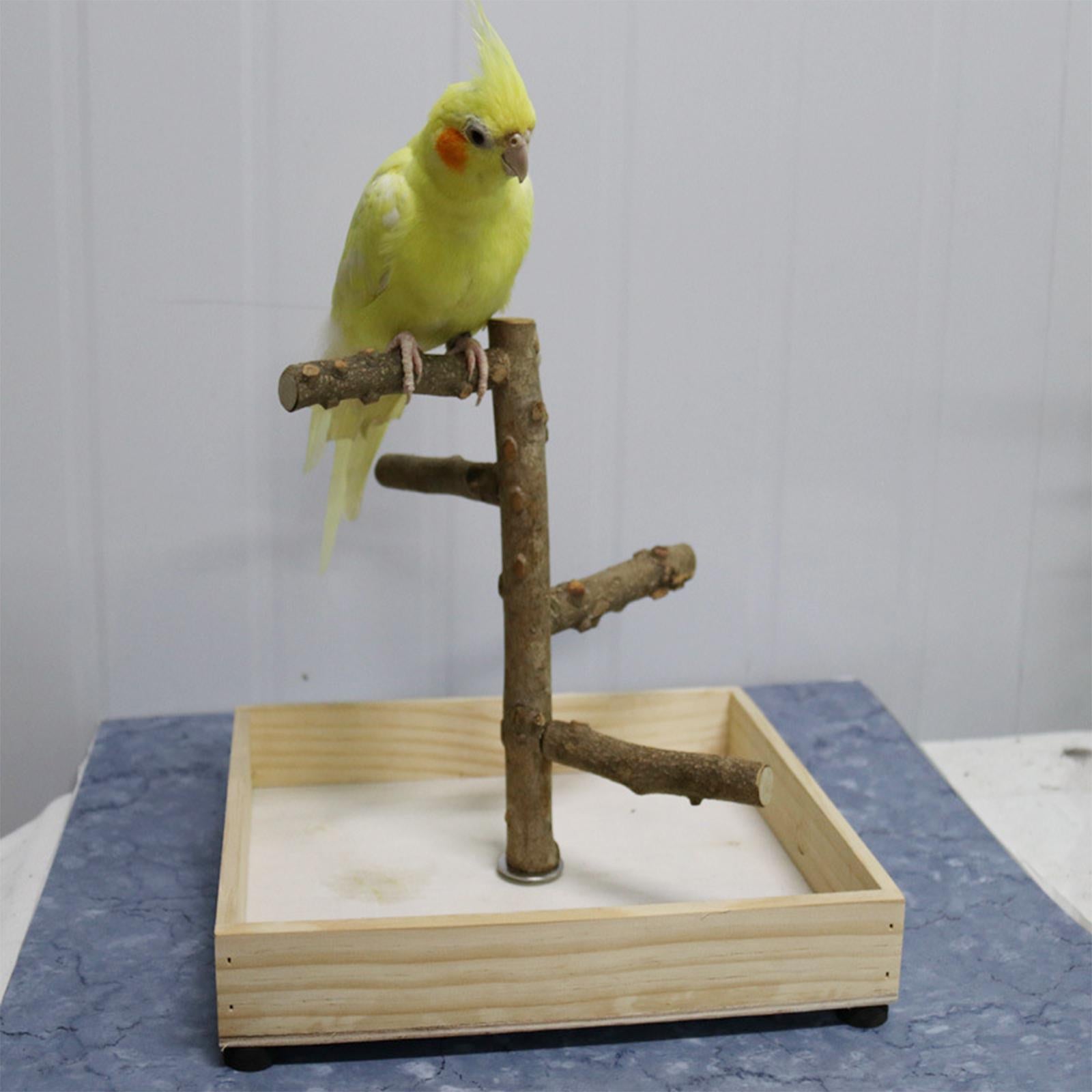 Parakeet Perch， Bird Natural Wood Stand， Parrot Wooden Branches for Standing， Toys for Small Medium Parrots Budgie - 36x36x25cm