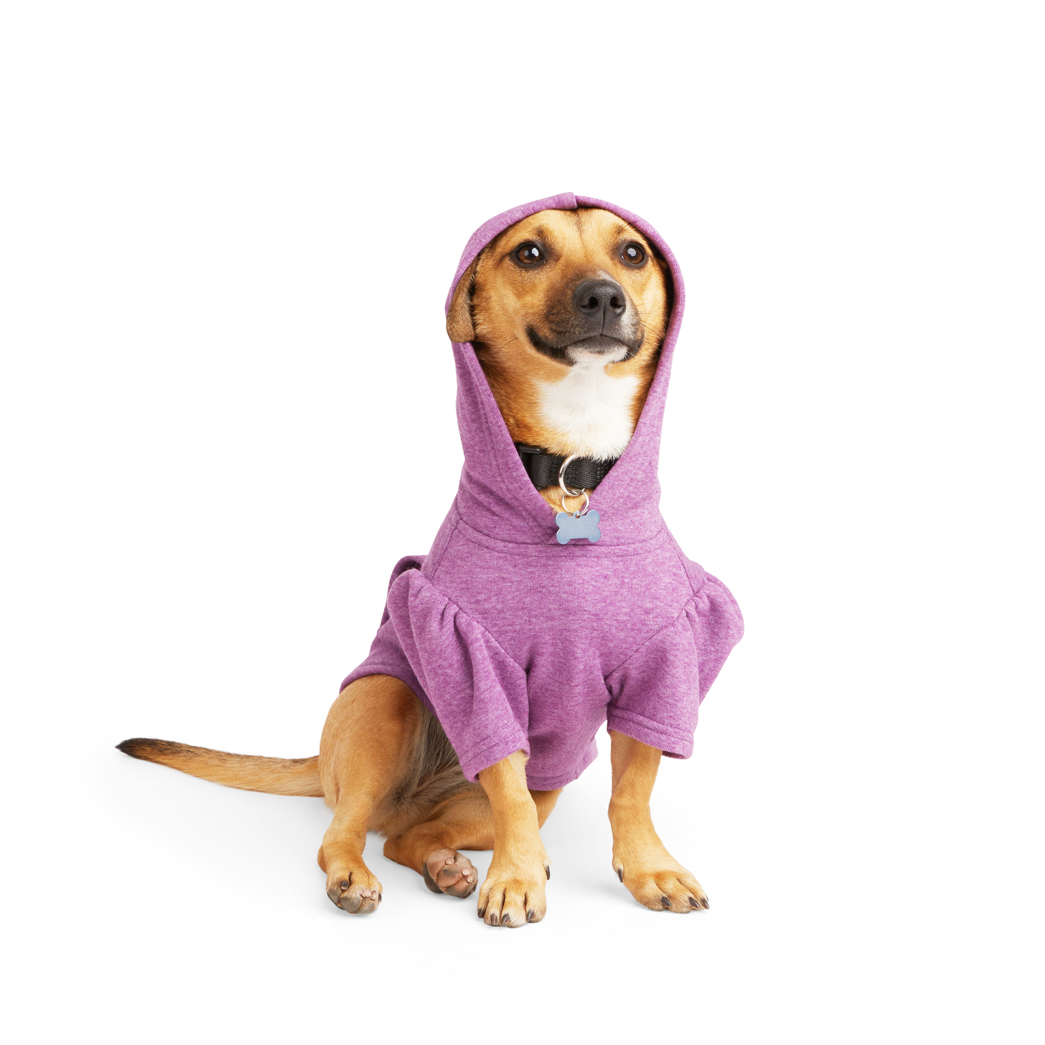 YOULY Most Pupular Dog Hoodie， XX-Small