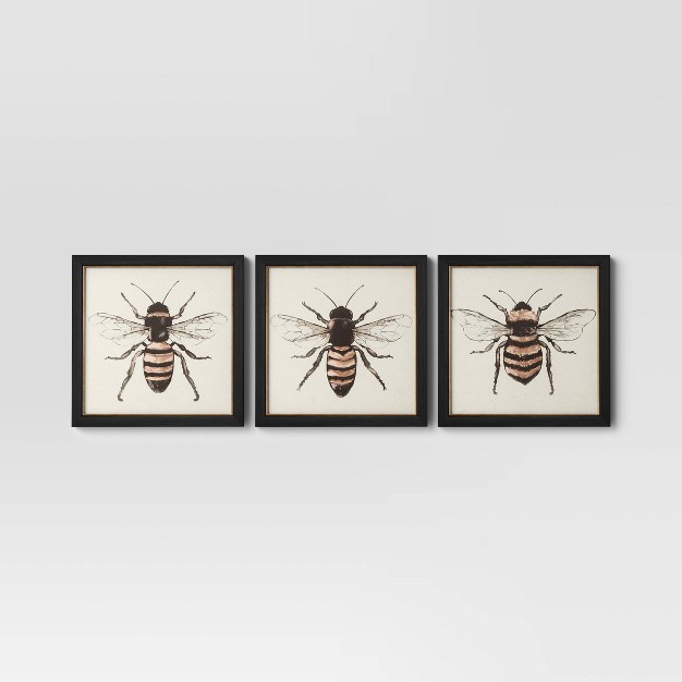 X 12 quot Bees Framed Wall Canvases