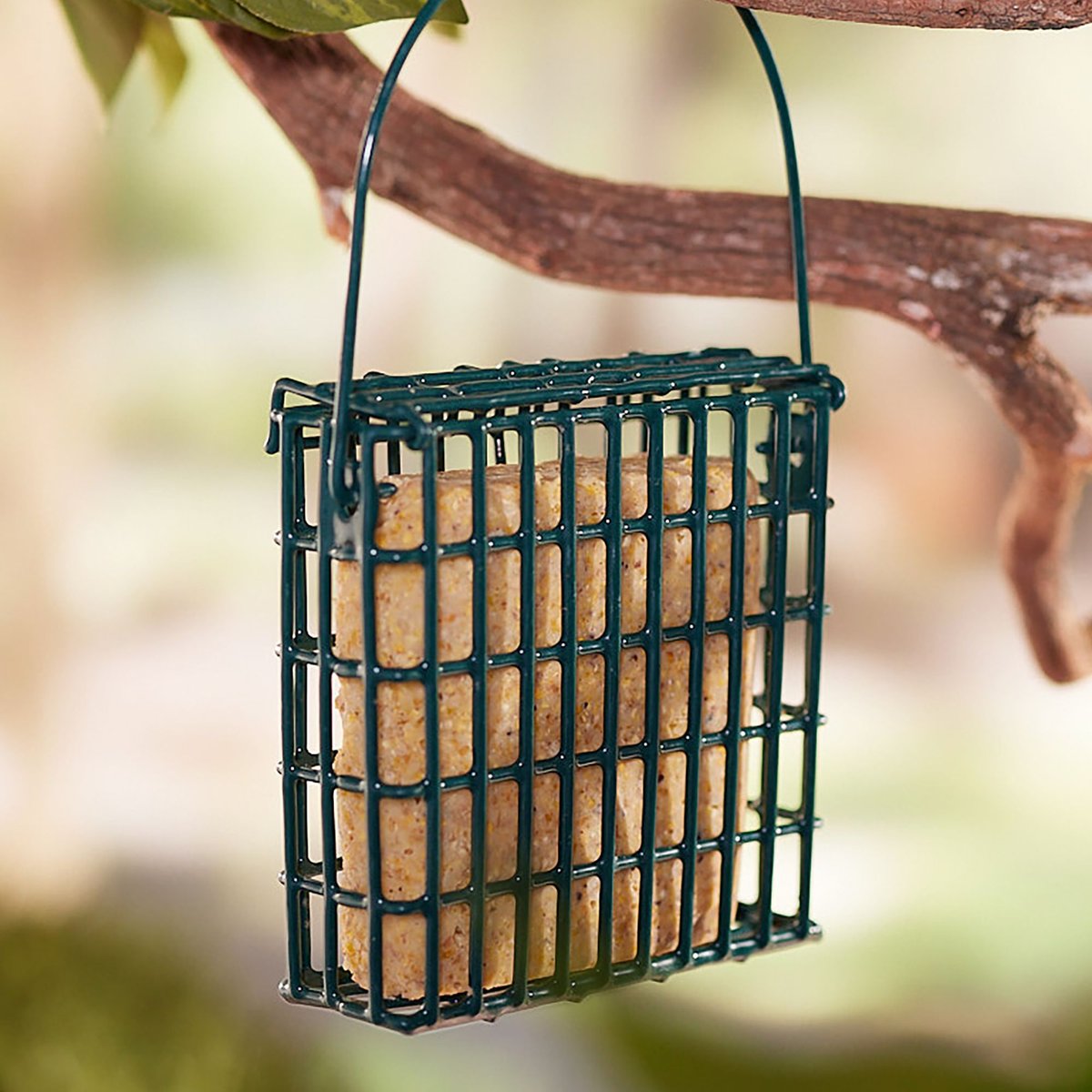 St. Albans Bay Suet Plus Variety Suet Wild Bird Food