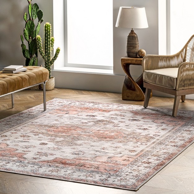 Nuloom Banks Vintage Machine Washable Area Rug