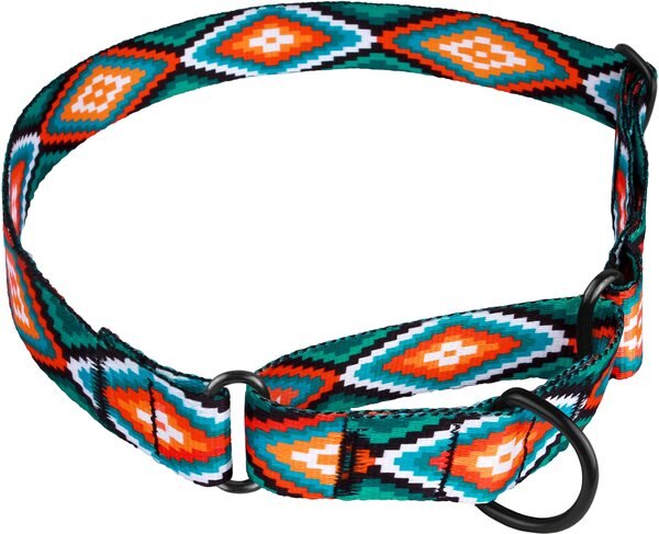 CollarDirect Tribal Aztec Nylon Martingale Dog Collar