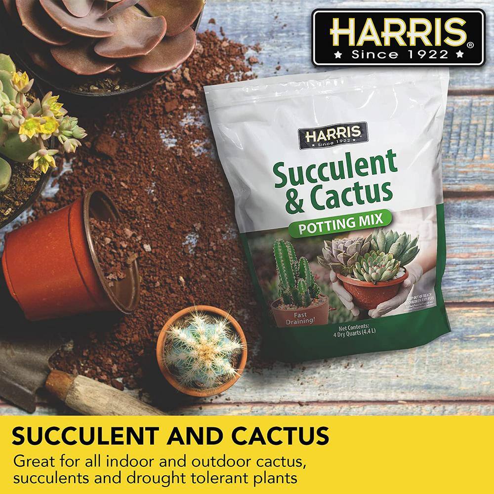 Harris 8 Qt. Premium Horticultural Vermiculite for Indoor Plants and Gardening and 4Qt. Succulent and Cactus Potting Soil Mix VERM-SUCCL