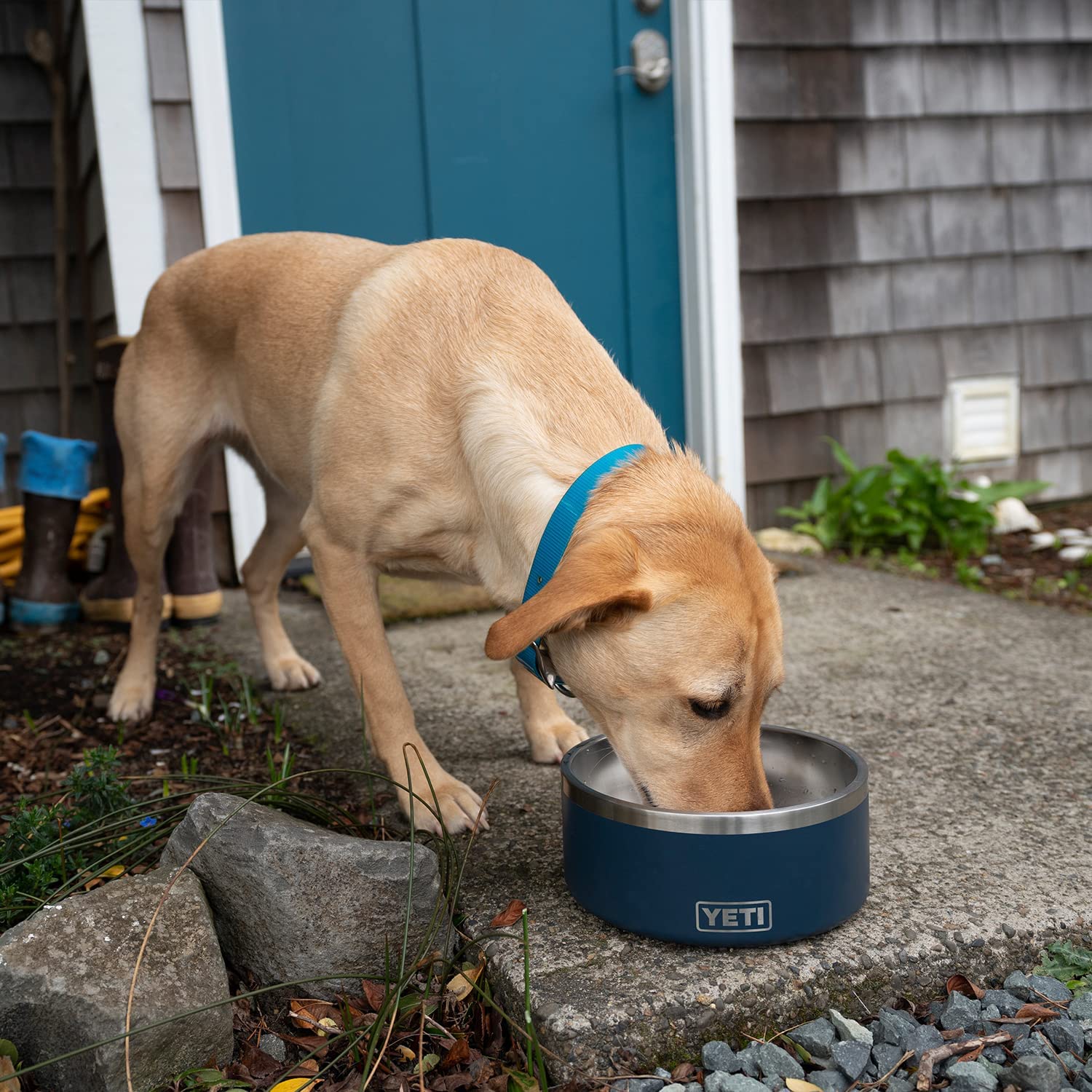 YETI Boomer 8， Stainless Steel， Non-Slip Dog Bowl， Holds 64 Ounces， Blue