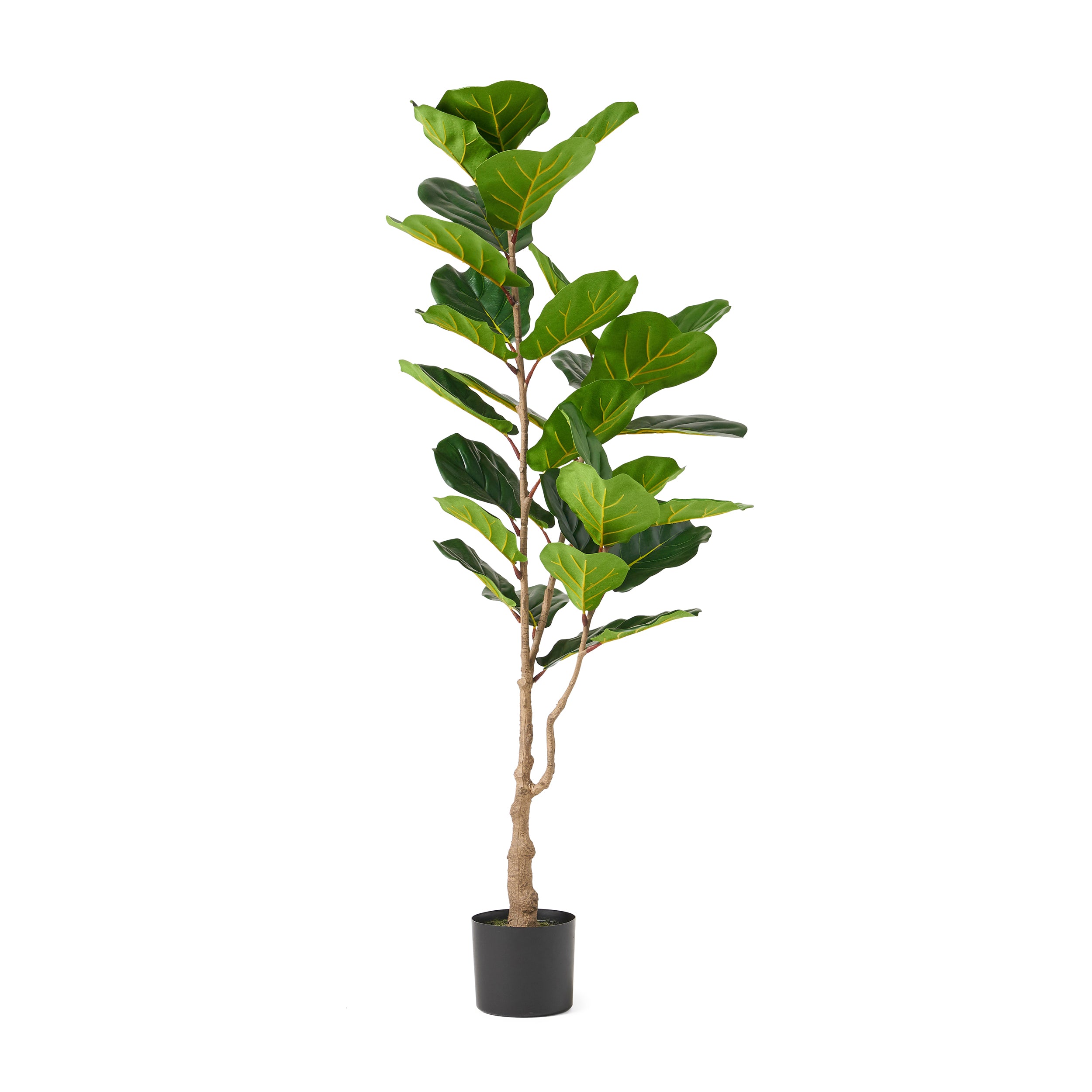 Stilwell Artificial Fiddle-Leaf Fig Tree