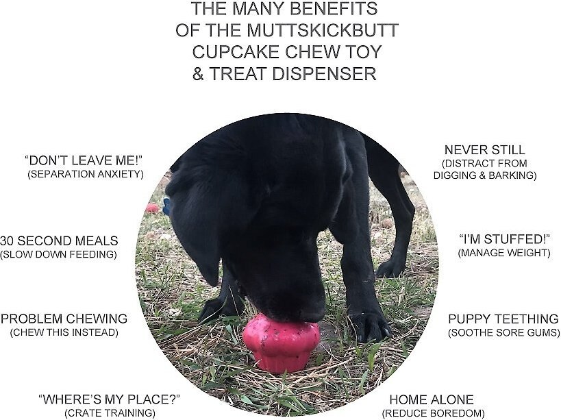 MuttsKickButt Cupcake Treat Dispensing Tough Dog Chew Toy