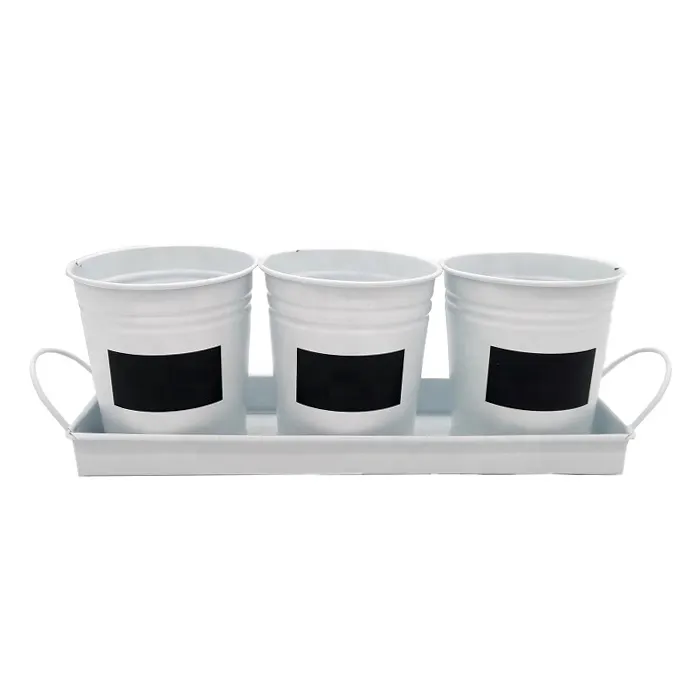 Garden supplies painted color 3PC mini flower pot  planter with metal tray black sticker succulent zinc bucket