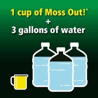 Moss Out! 1 Gal. Moss Out! Moss Killer for Lawns 100099156