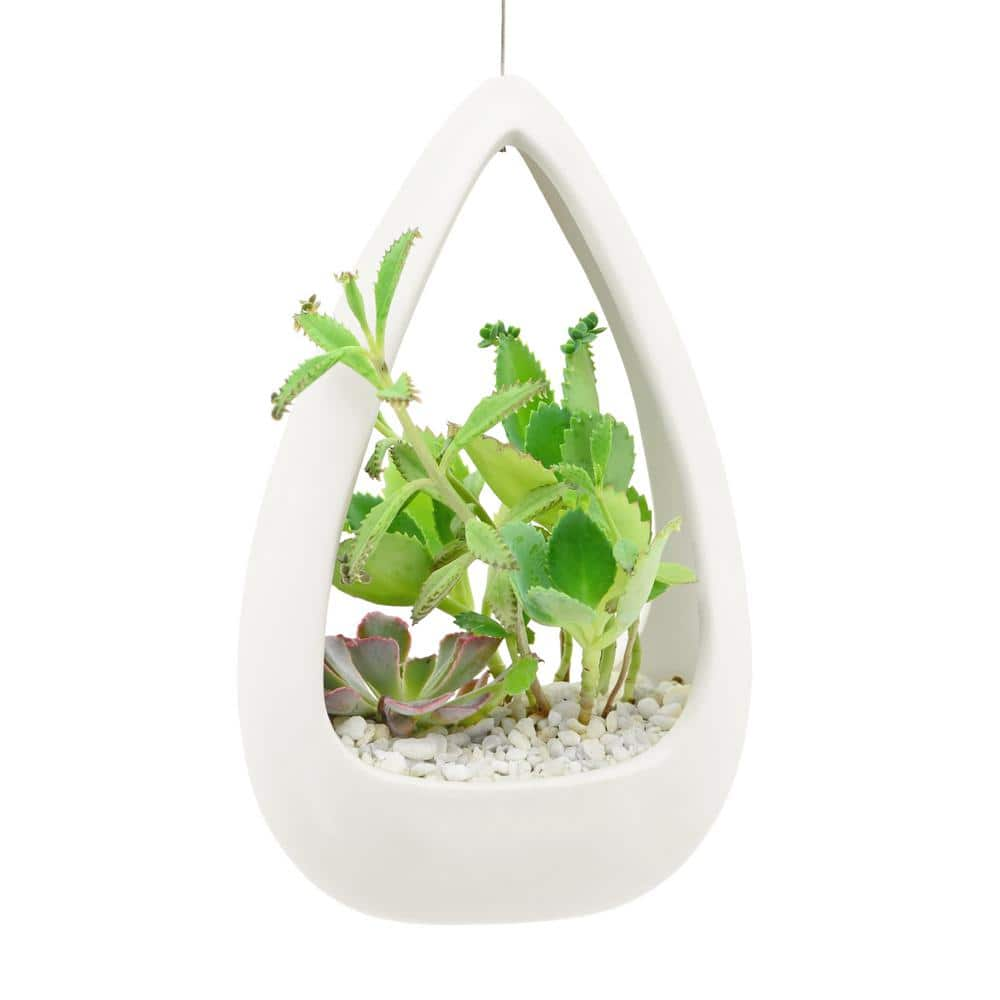 Arcadia Garden Products Cone 8-12 in. x 5-14 in. Matte White Ceramic Hanging Planter AP06W