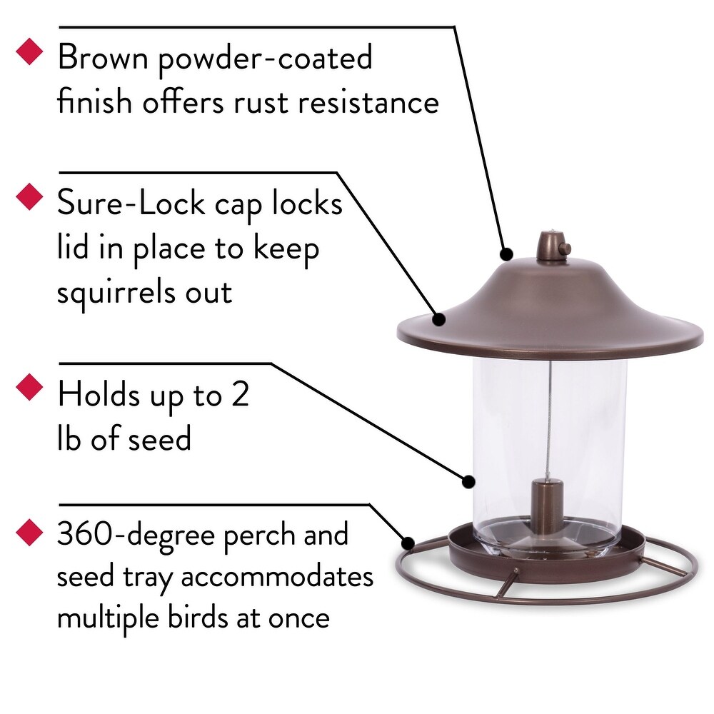 2 lb Small Panorama Wild Bird Feeder