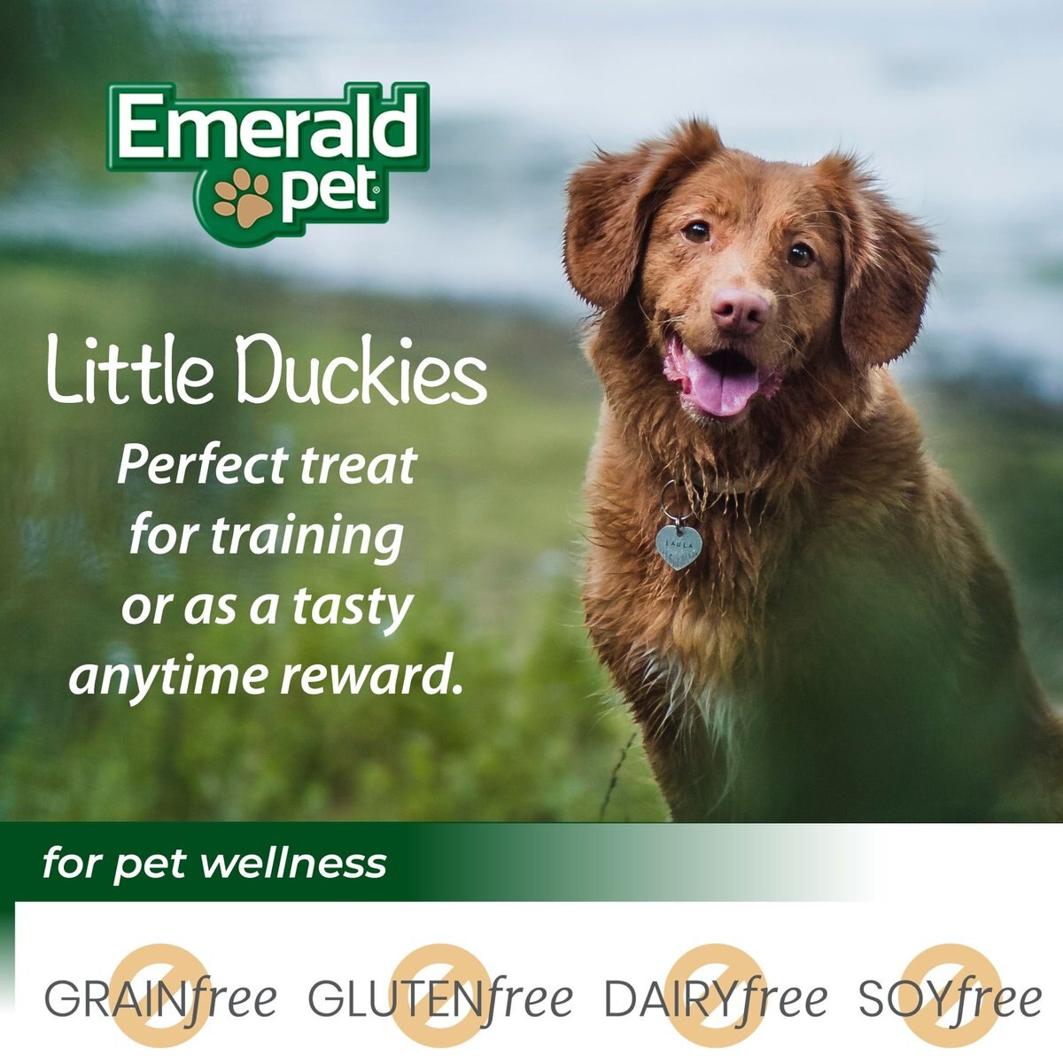 Emerald Pet Grain-Free Little Duckies with Duck and Sweet Potato Dog Treats