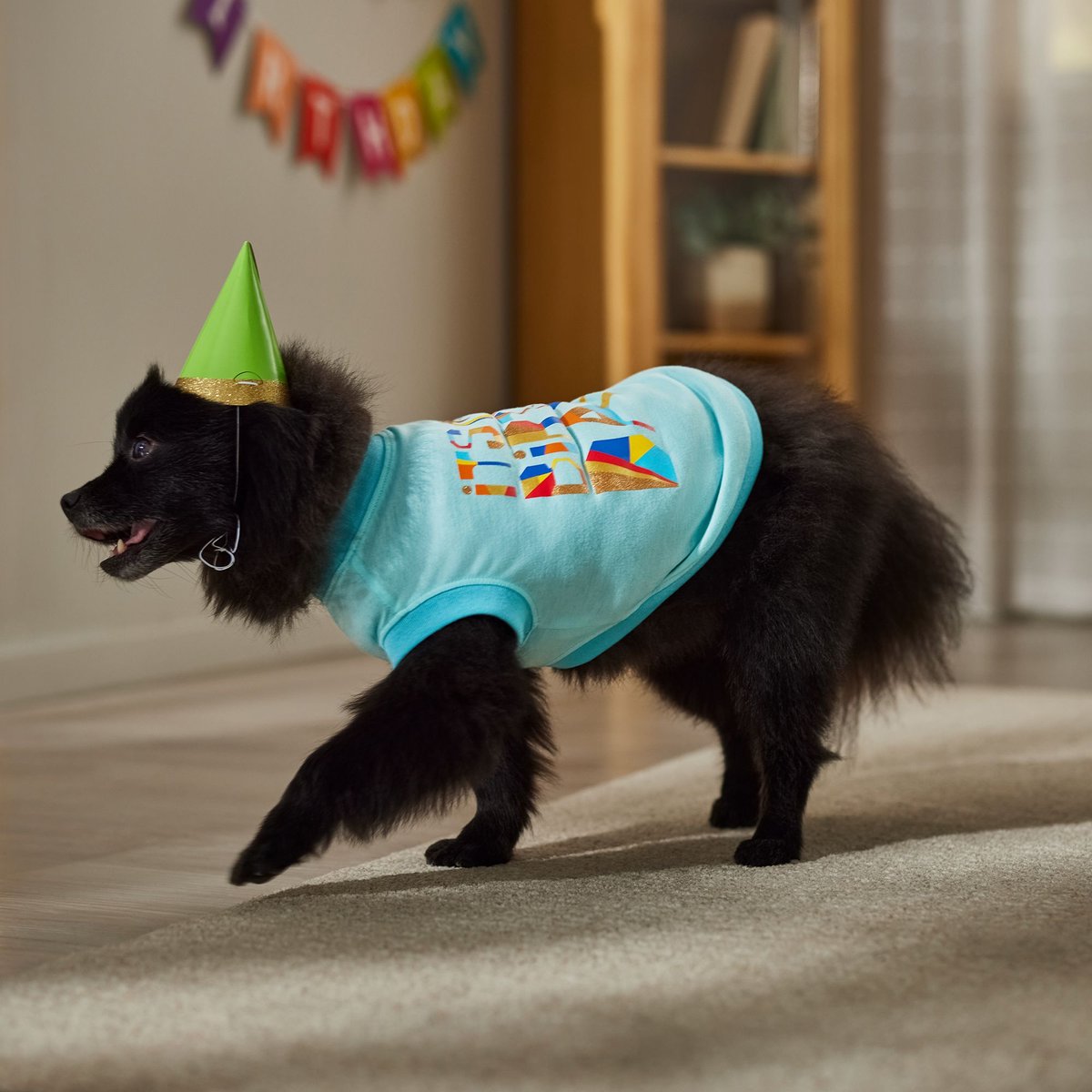 Frisco Birthday Celebration Dog and Cat T-Shirt