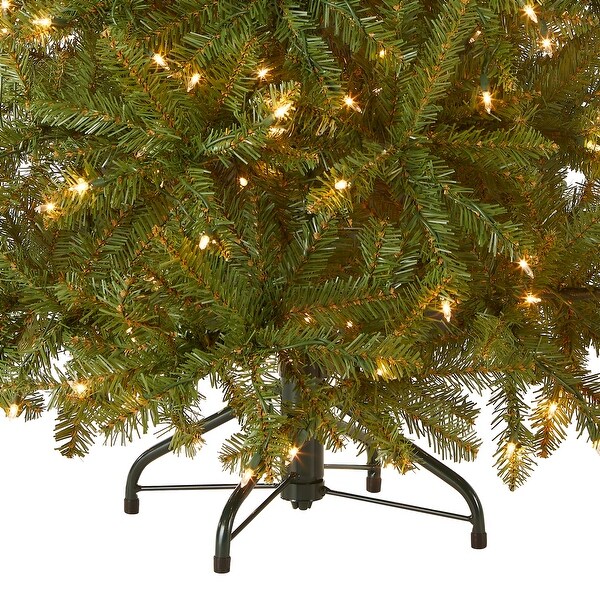 National Tree Company 4 ft. Dunhill Fir Tree with Clear Lights