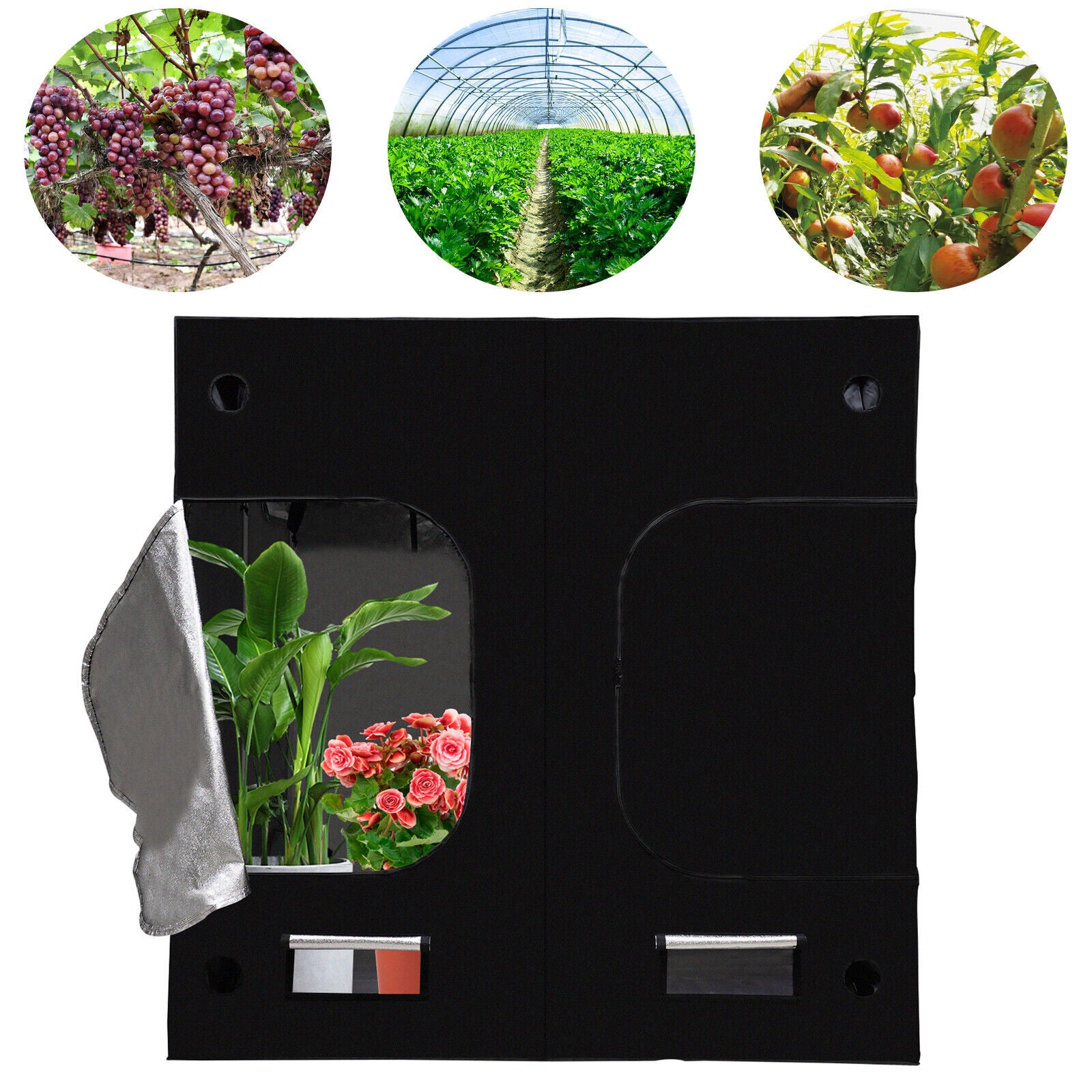 Black Oxford Cloth， Iron， Reflective Aluminum Film New Hydroponic Grow Tent Window Floor Tray for Indoor Plant Growing 80*80*80 inch