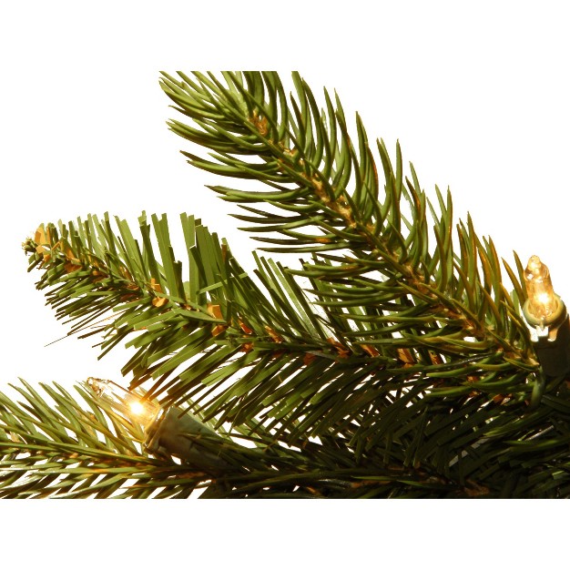 National Tree Company 7.5 Ft. Grande Fir Medium Tree With Clear Lights