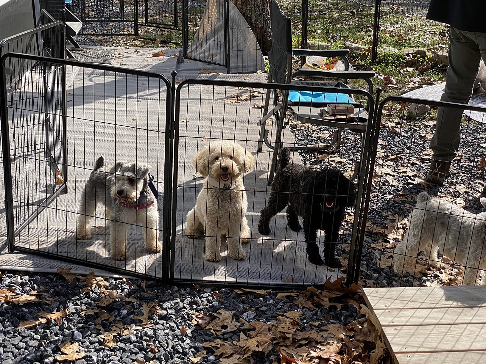 🐱Pet protection fence🐶🏞️