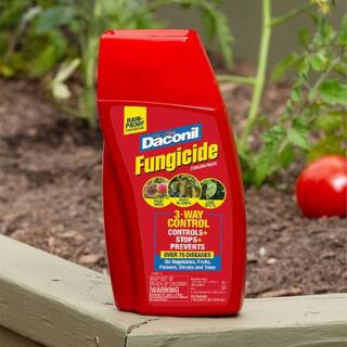 Daconil 16 oz. Concentrate Fungicide 100536524