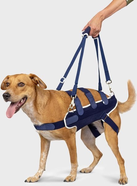 Balto Body Lift Dog Body Harness with Handles