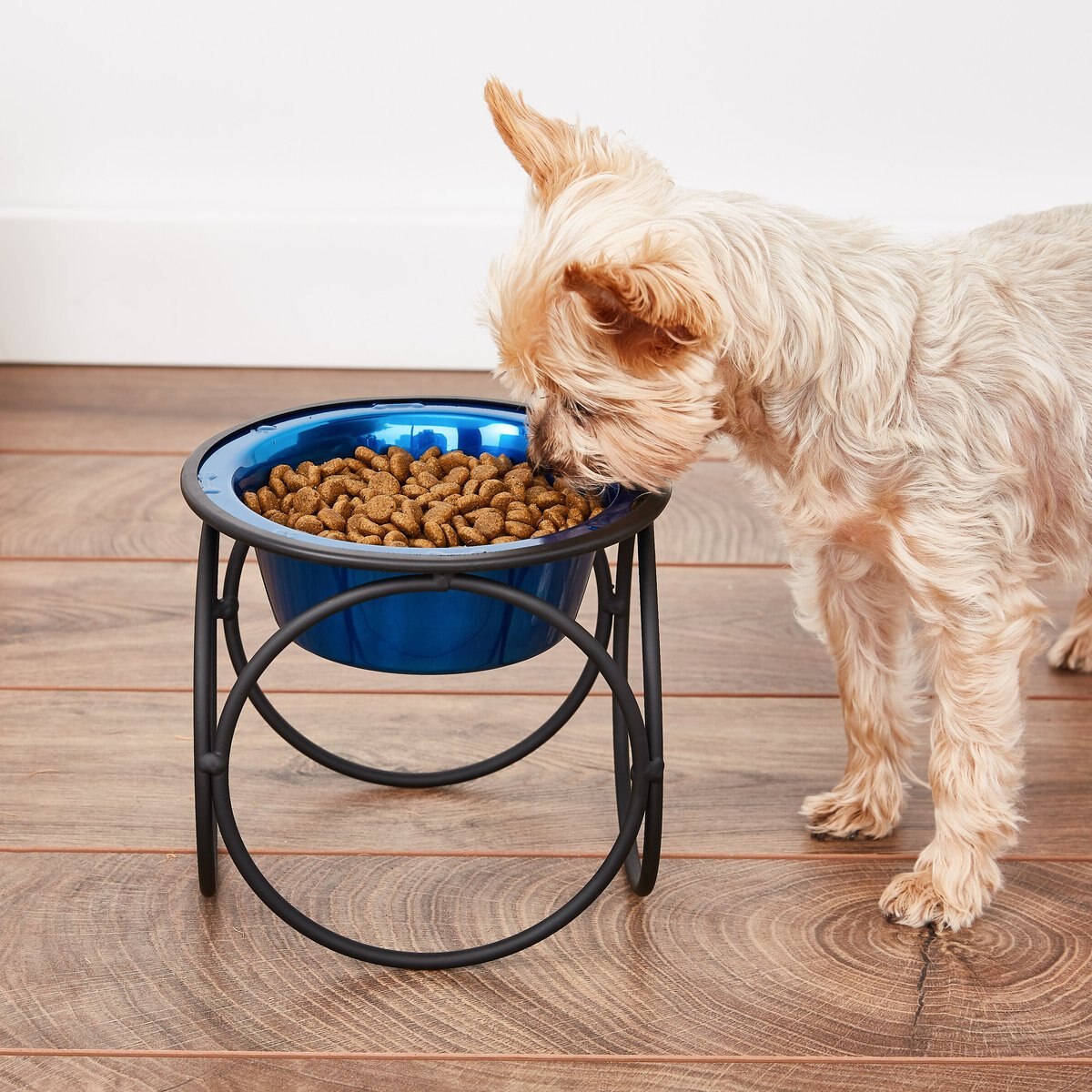 Platinum Pets Olympic Single Elevated Wide Rimmed Pet Bowl