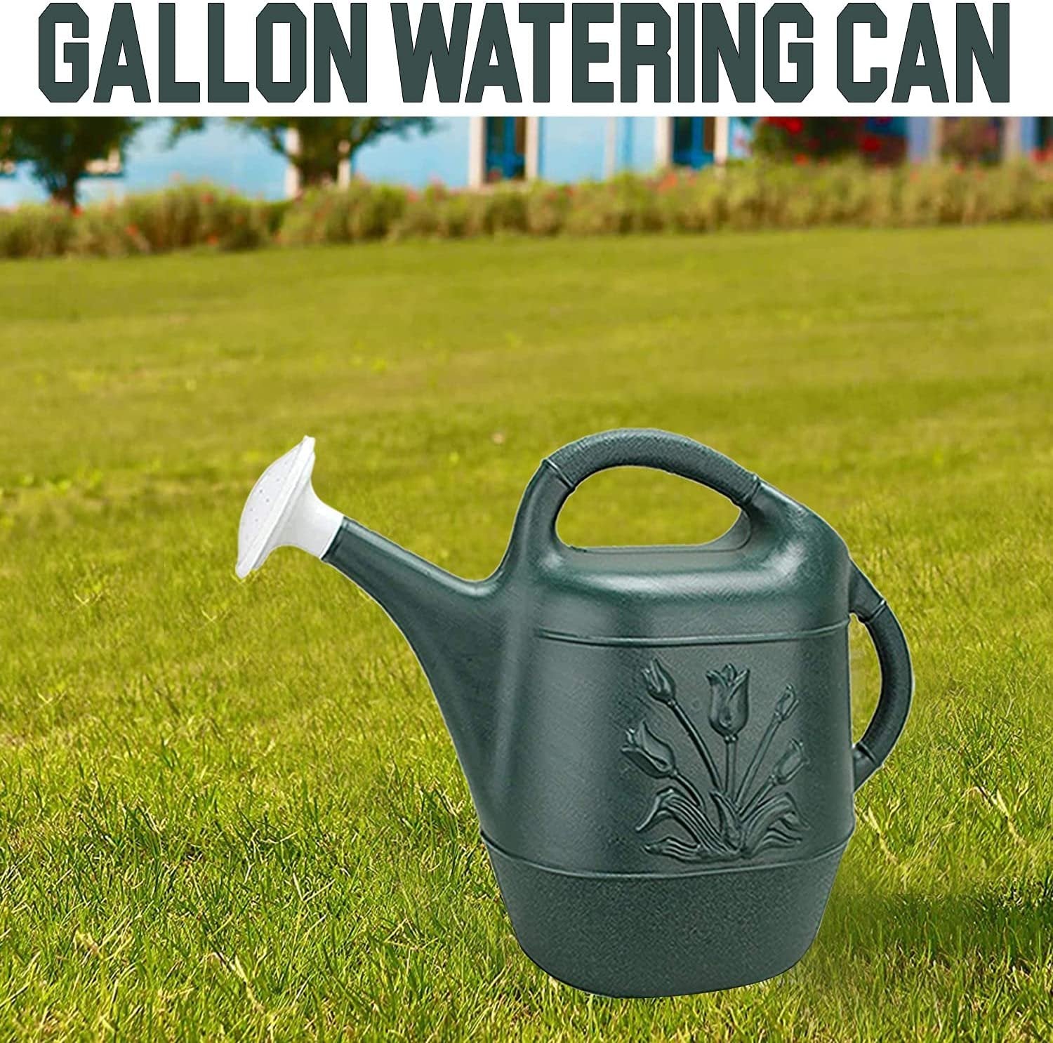 2 Gallon Watering Can - Hunter Green Pkg/3， Hunter Green