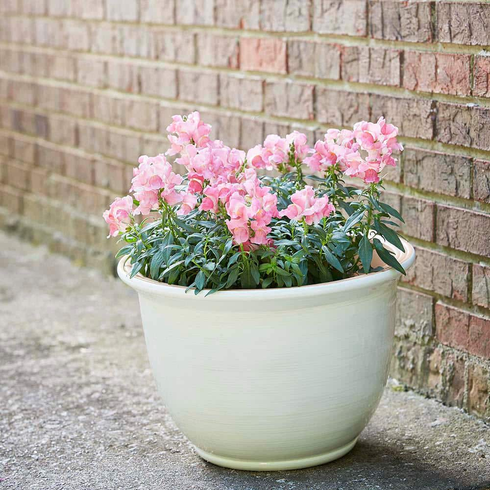 Vigoro 18.8 in. Giselle Large Chalk Resin Composite Planter (18.8 in. D x 12.4 in. H) With Drainage Hole CMX-057710