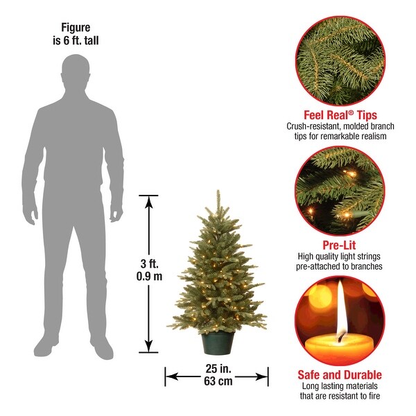 National Tree Company 3 ft. Everyday Collection Evergreen Tree with Clear Lights