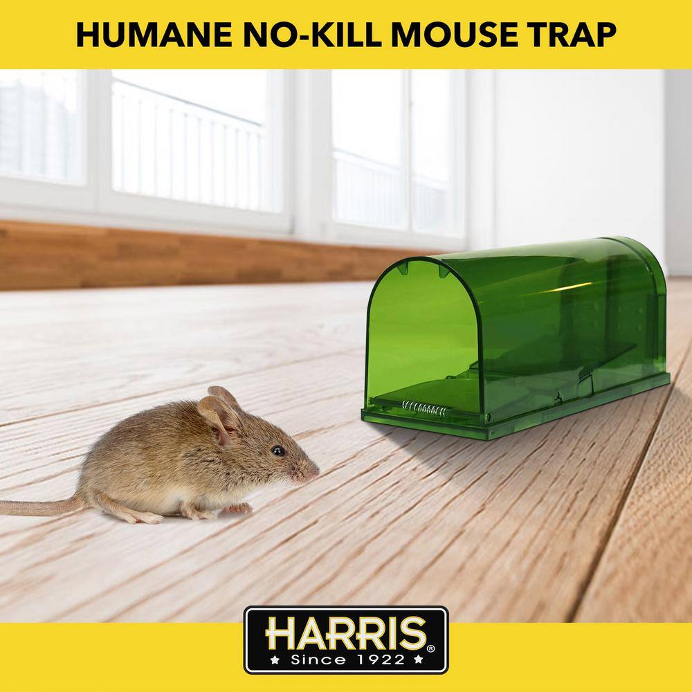 Harris Catch and Release Humane Mouse Trap (2-Pack) 2EMT-LIVE