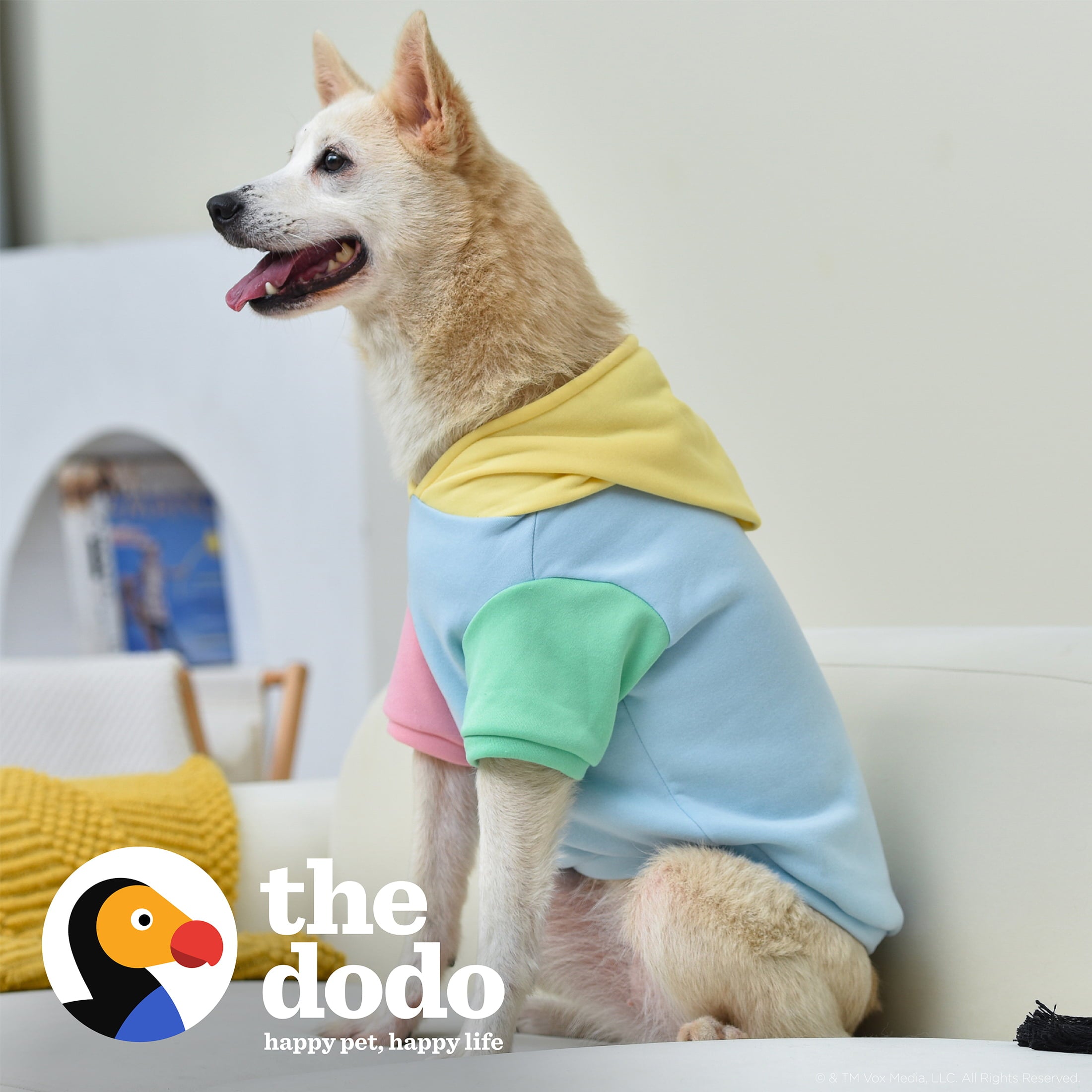 The Dodo Pastel Colorblock Dog Hoodie - Medium