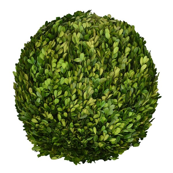 Preserved Boxwood Ball