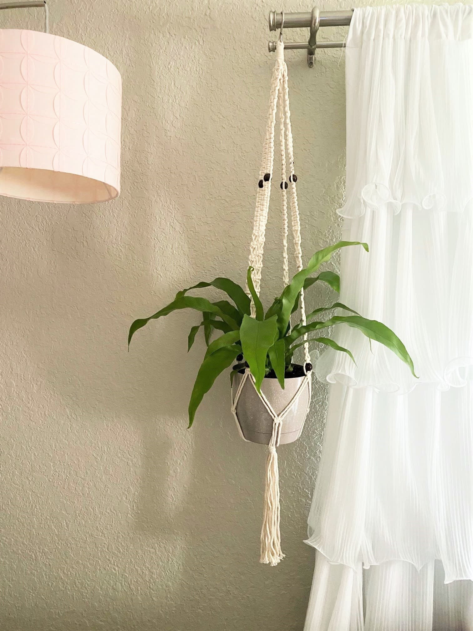 Costa Farms  Live Indoor 15in. Tall Green Bird's Nest Fern Macramé; Bright， Indirect Sunlight Plant in 6in. Décor Pot