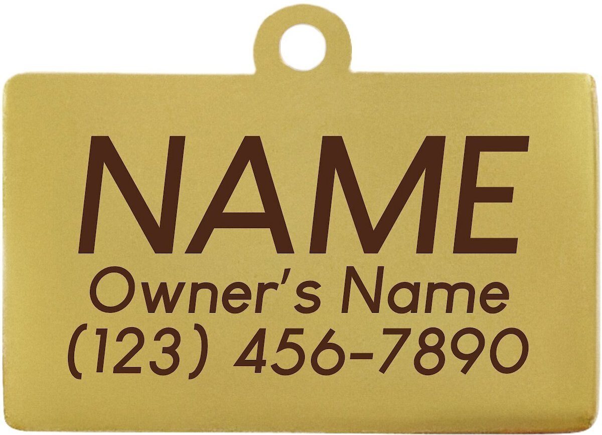 Two Tails Pet Company Hello My Name Is Good Girl Personalized Dog and Cat ID Tag