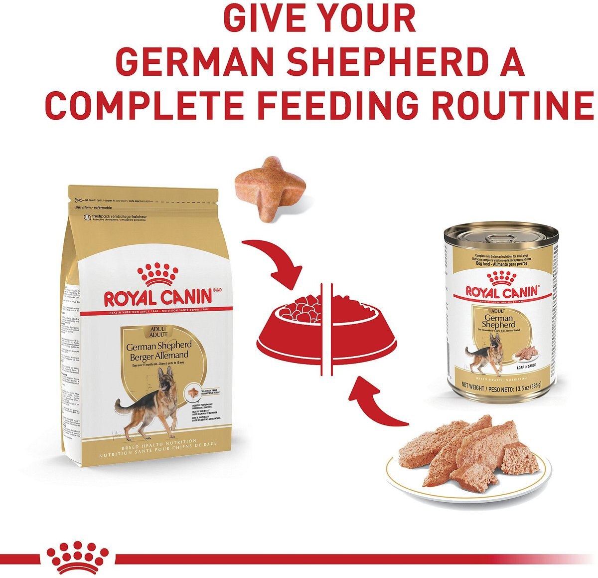 Royal Canin Breed Health Nutrition German Shepherd Adult Dry Dog Food