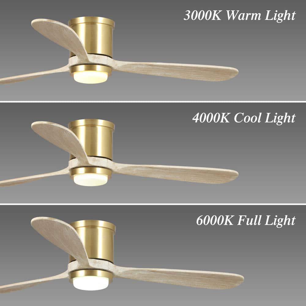 Parrot Uncle Mayna 52 in LED Sand Gold Flush Mounted Ceiling Fan with Light and Remote Control