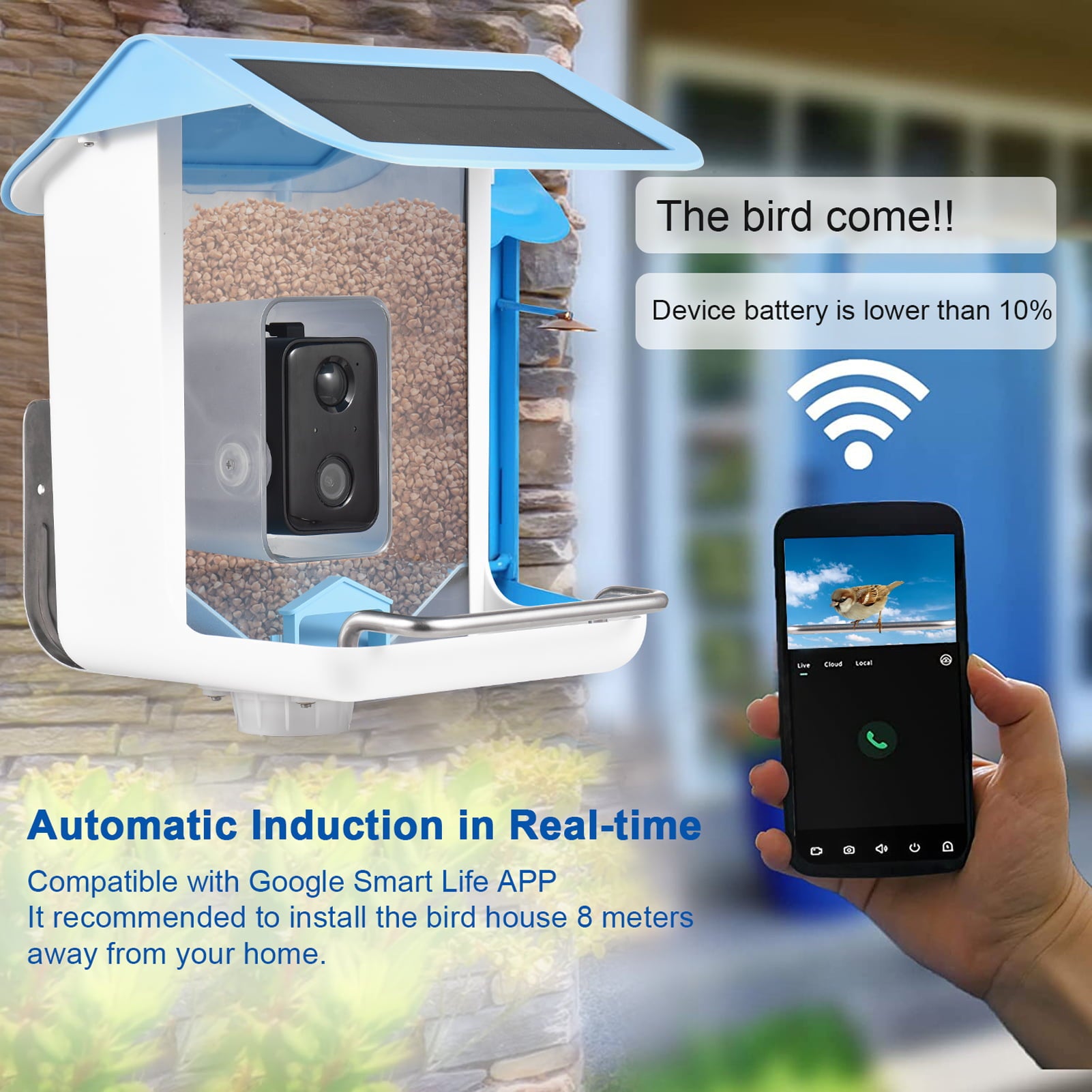 Anself Solar Smart Bird Feeder with Camera 1080HD Night Vision Camera AI Recognition Bird Species Feeder with APP Connection Auto Capture Bird Videos