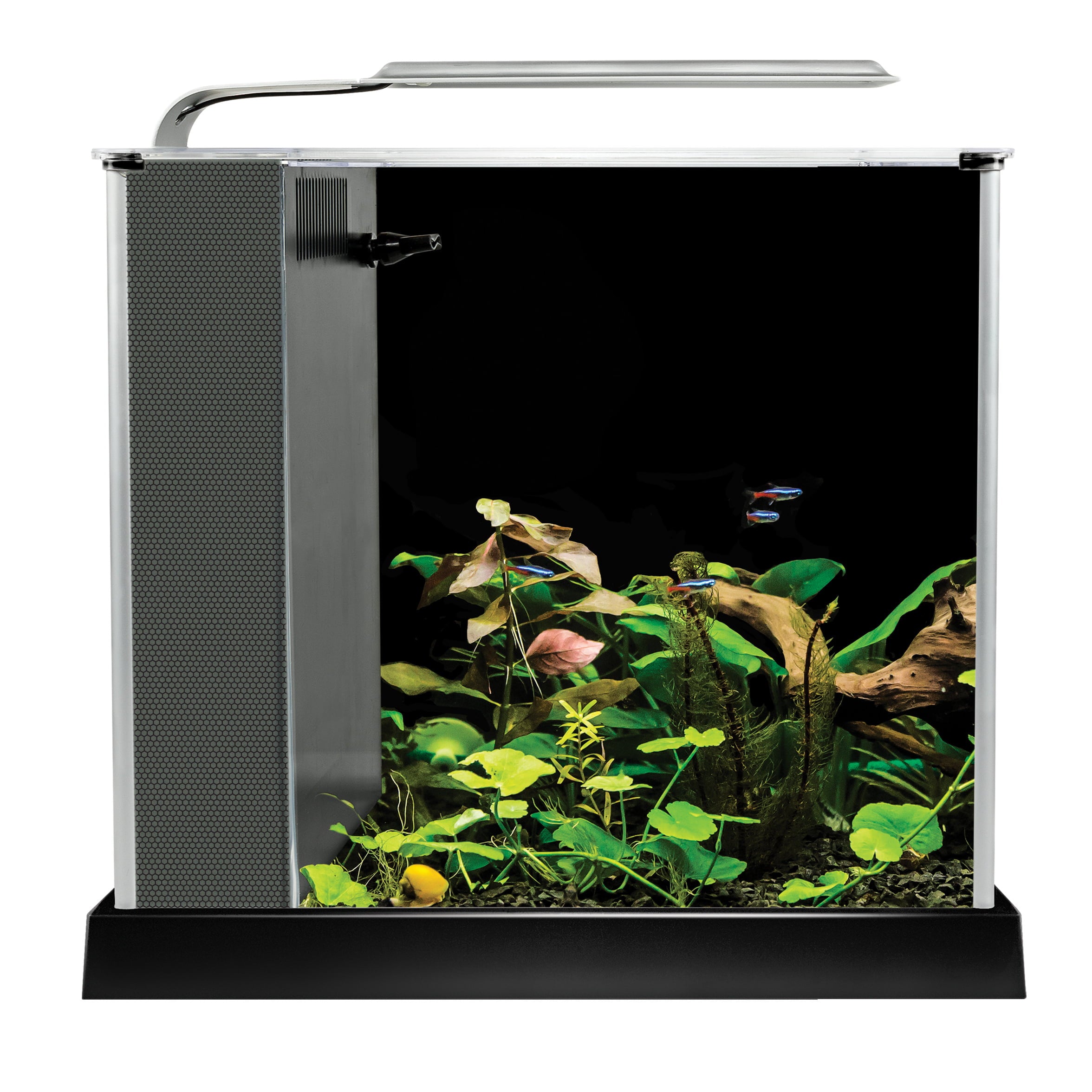 Fluval Spec III Aquarium Kit， 2.6 Gallon， Black