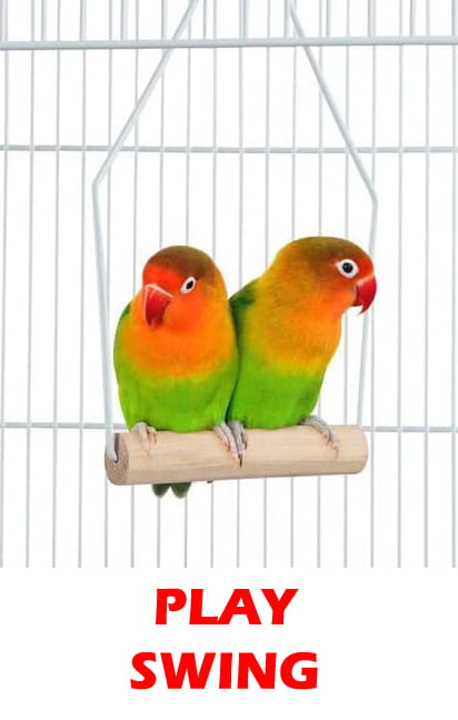 Large Double Roof Top Flight Bird Cage with Toys and Crossover Ladder for Cockatiels Sun Parakeets Green Cheek Conures Aviary Budgie Finch Lovebird Canary Pet Bird Travel Cage