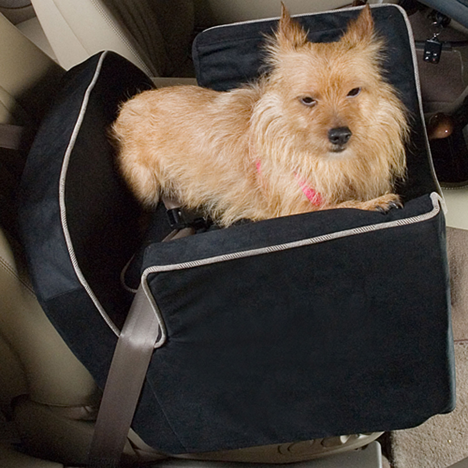 Snoozer Black Luxury Lookout I Dog Car Seat， Small