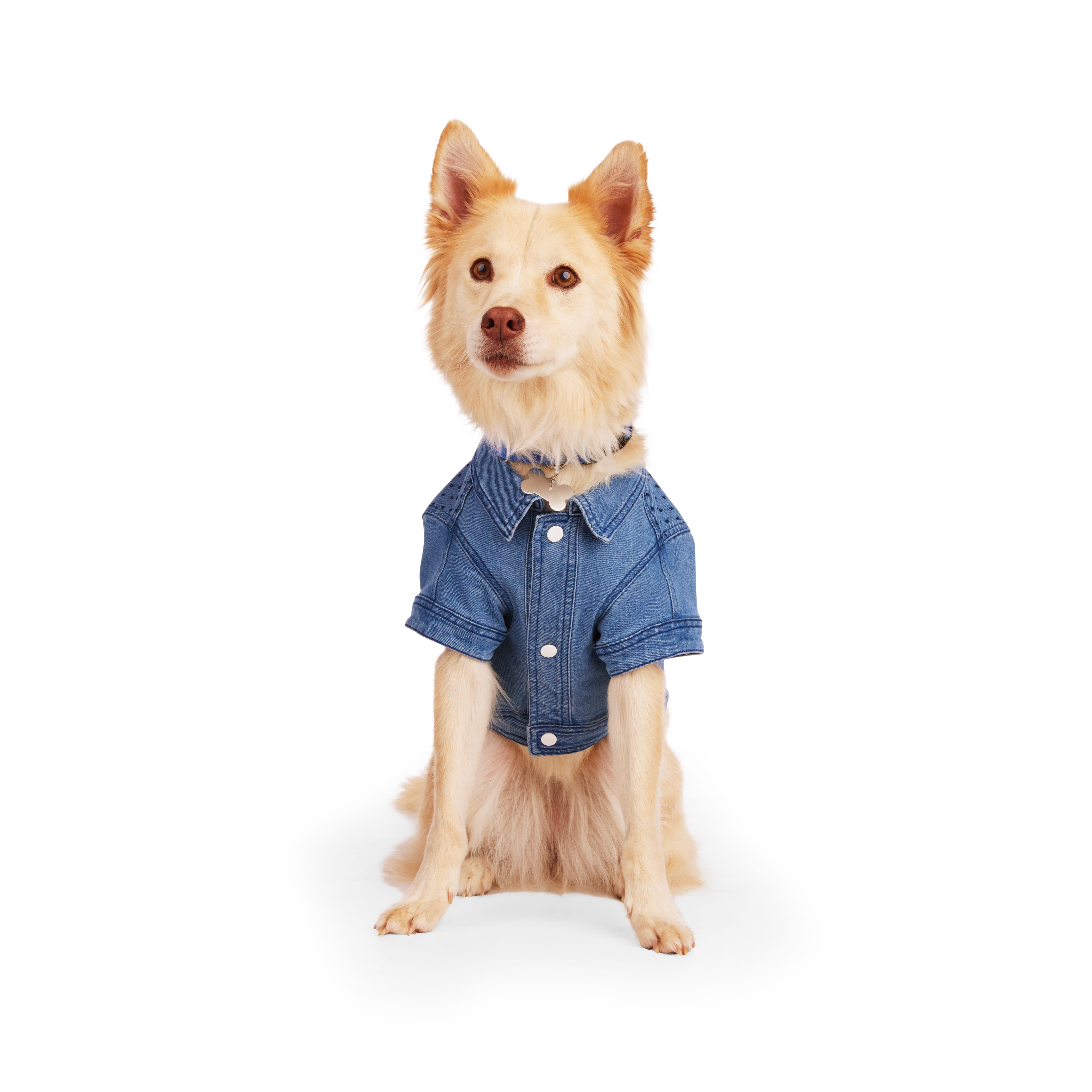 YOULY Blue Denim Jacket for Dogs， XX-Small