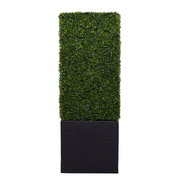 Exclusive and Utmost Beautiful Boxwood Hedge