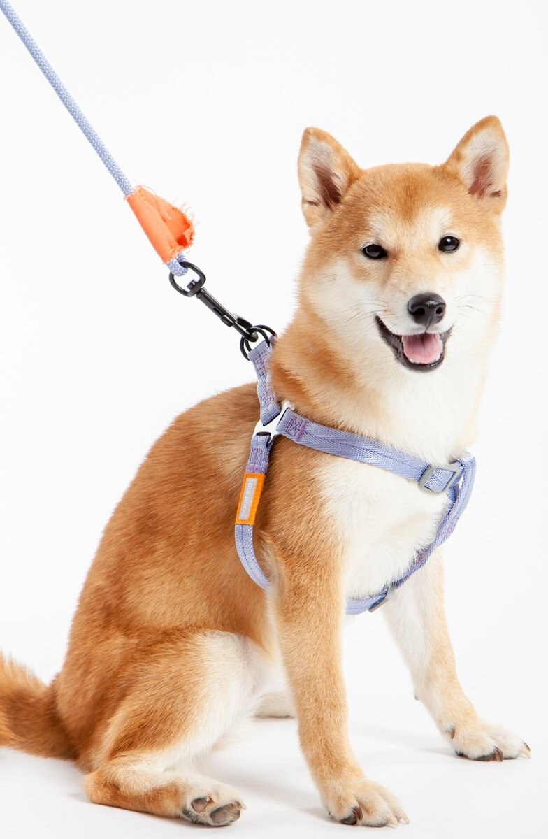 Touchdog Macaron 2-in-1 Durable Nylon Dog Harness and Leash