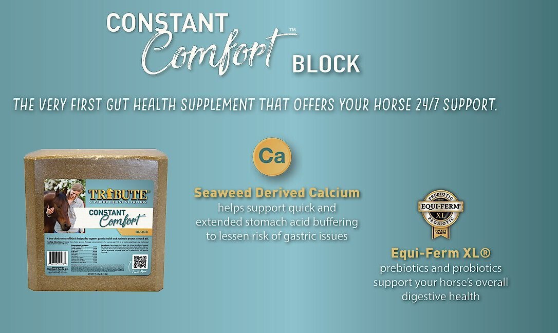 Tribute Equine Nutrition Constant Comfort Gastric Health Horse Supplement， 15-lbs block